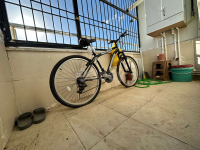 WhatsApp Image 2026-07-03 at 12.27.27 (1).jpeg